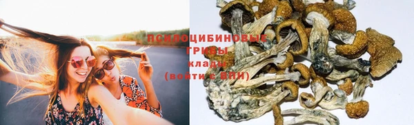 a pvp Алзамай