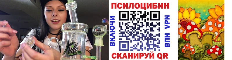 МЕГА вход  цена наркотик  маркетплейс клад  Псилоцибиновые грибы MAGIC MUSHROOMS  Пущино 